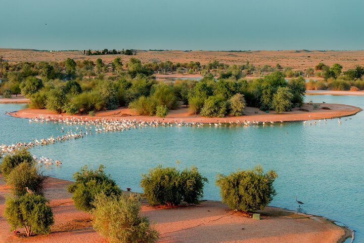 Experience the serene beauty of Al Qudra Lakes teeming with wildlife and surrounded by lush greenery perfect for a relaxing escape and outdoor adventures amid stunning desert landscapes.